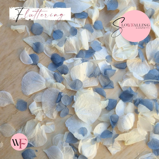 Petal Confetti hydrangea - Dusty Blue White