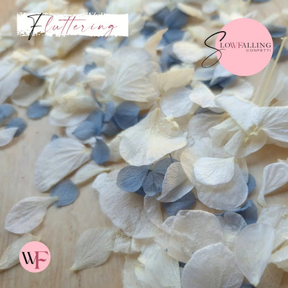 Petal Confetti hydrangea - Dusty Blue White
