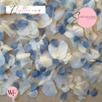 Petal Confetti hydrangea - Dusty Blue White