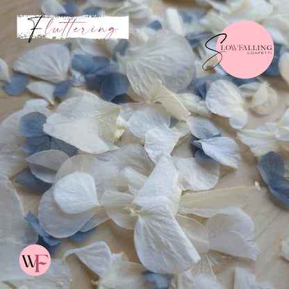 Petal Confetti hydrangea - Dusty Blue White