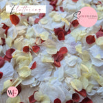 Petal Confetti hydrangea - White Lemon Red