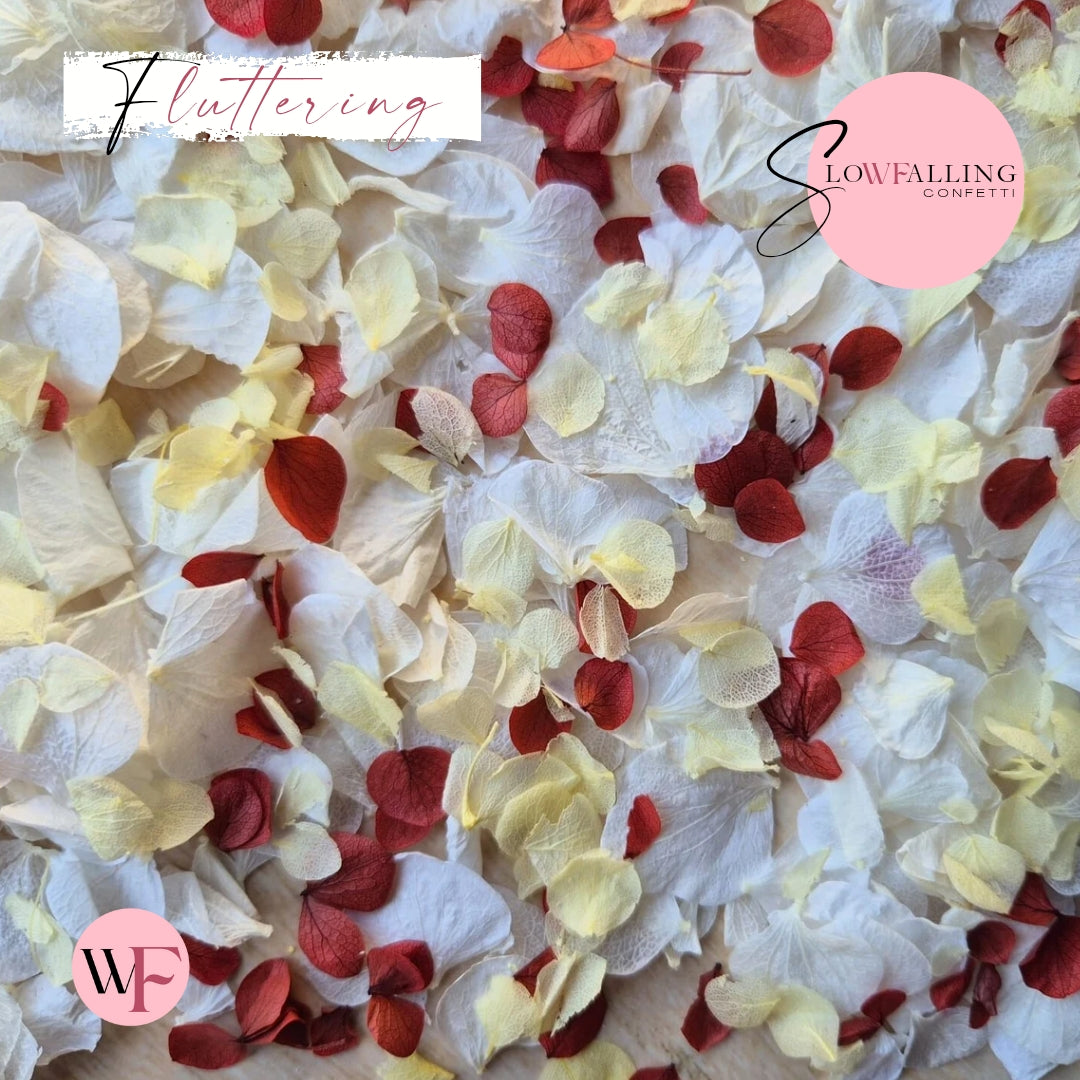 Petal Confetti hydrangea - White Lemon Red