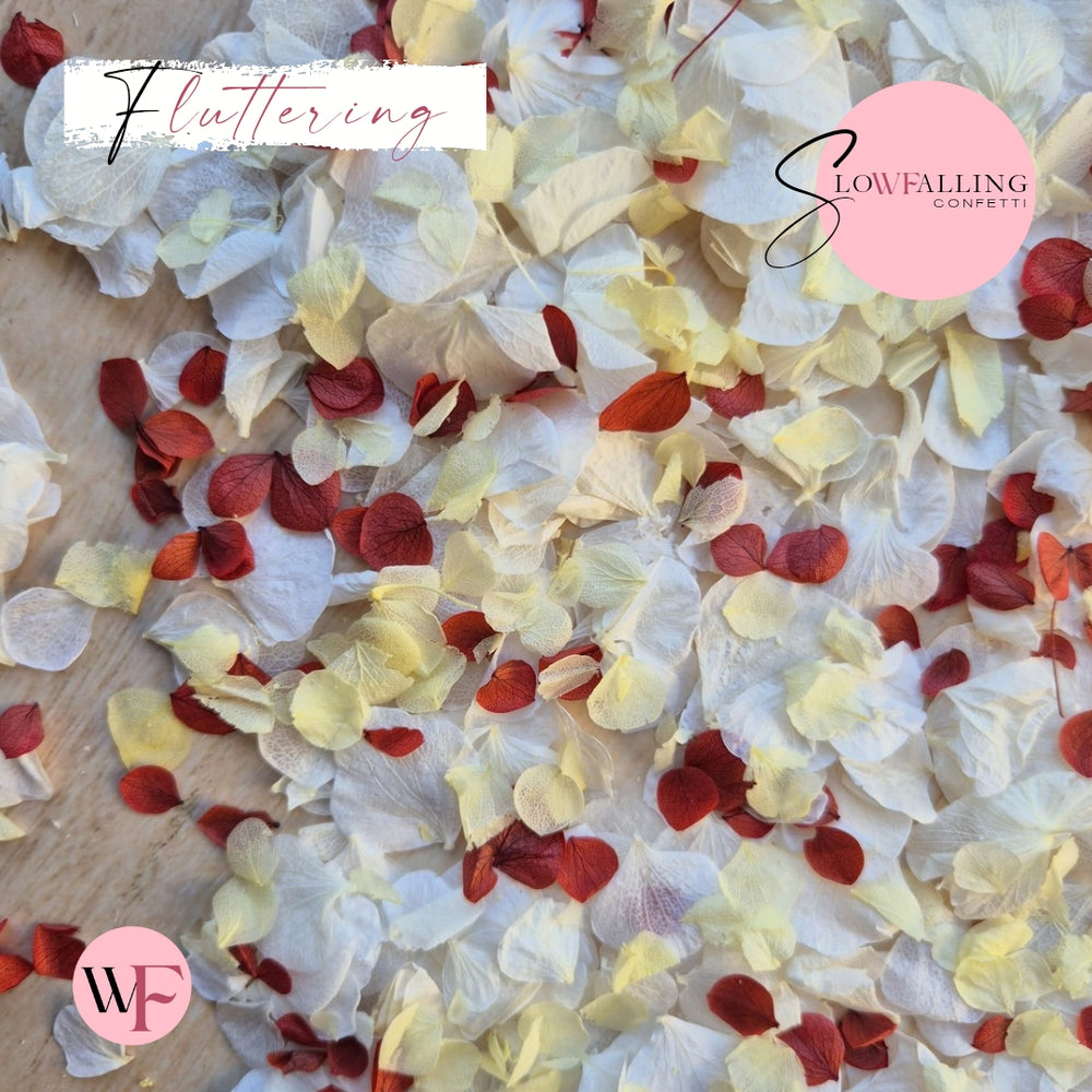 Petal Confetti hydrangea - White Lemon Red