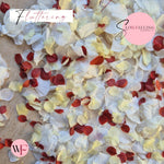 Petal Confetti hydrangea - White Lemon Red