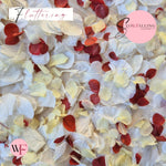 Petal Confetti hydrangea - White Lemon Red