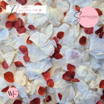 Petal Confetti hydrangea - Burgundy small red white