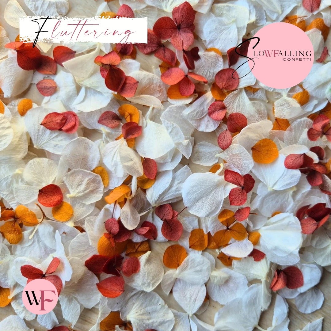 Petal Confetti hydrangea - Soft Autumn mix