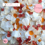 Petal Confetti hydrangea - Soft Autumn mix