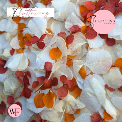 Petal Confetti hydrangea - Soft Autumn mix