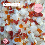 Petal Confetti hydrangea - Soft Autumn mix