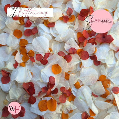 Petal Confetti hydrangea - Soft Autumn mix