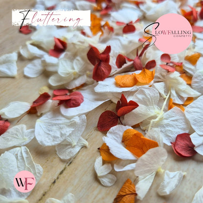 Petal Confetti hydrangea - Soft Autumn mix