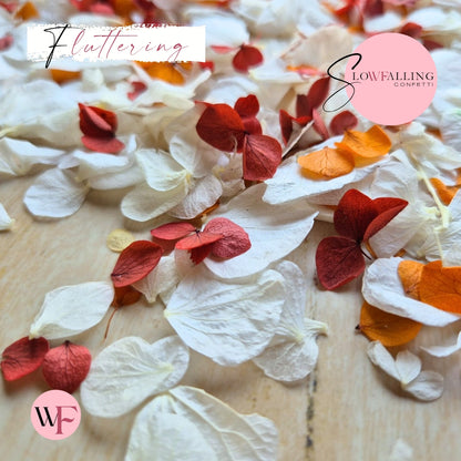 Petal Confetti hydrangea - Soft Autumn mix