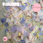 Petal Confetti hydrangea - Lemon butterfly mix