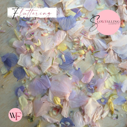 Petal Confetti hydrangea - Lemon butterfly mix