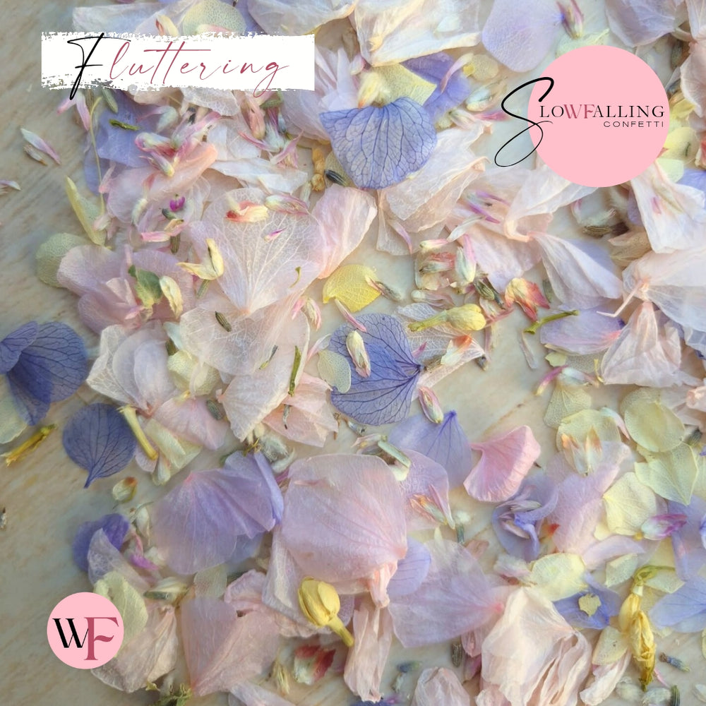 Petal Confetti hydrangea - Lemon butterfly mix