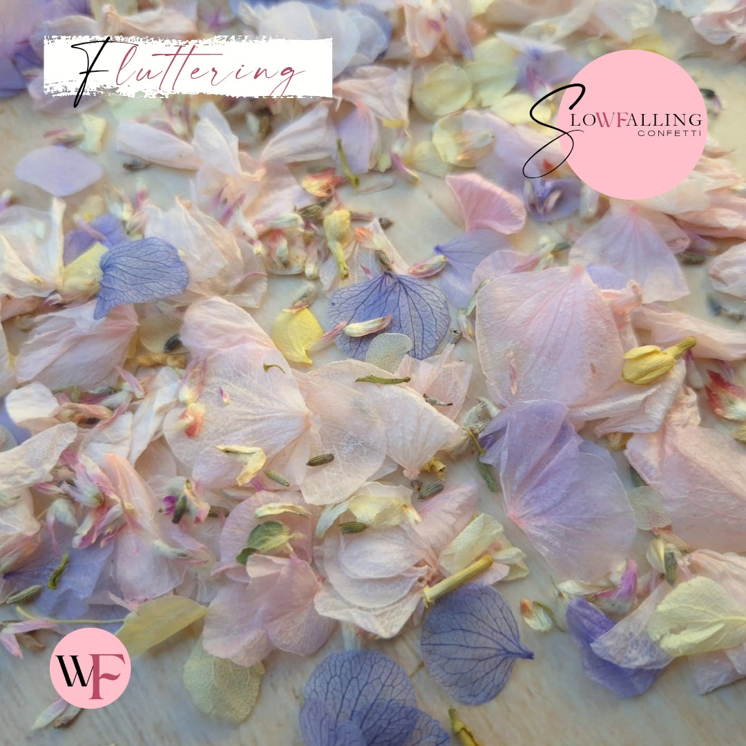 Petal Confetti hydrangea - Lemon butterfly mix