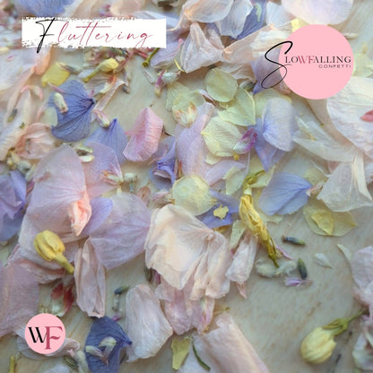 Petal Confetti hydrangea - Lemon butterfly mix