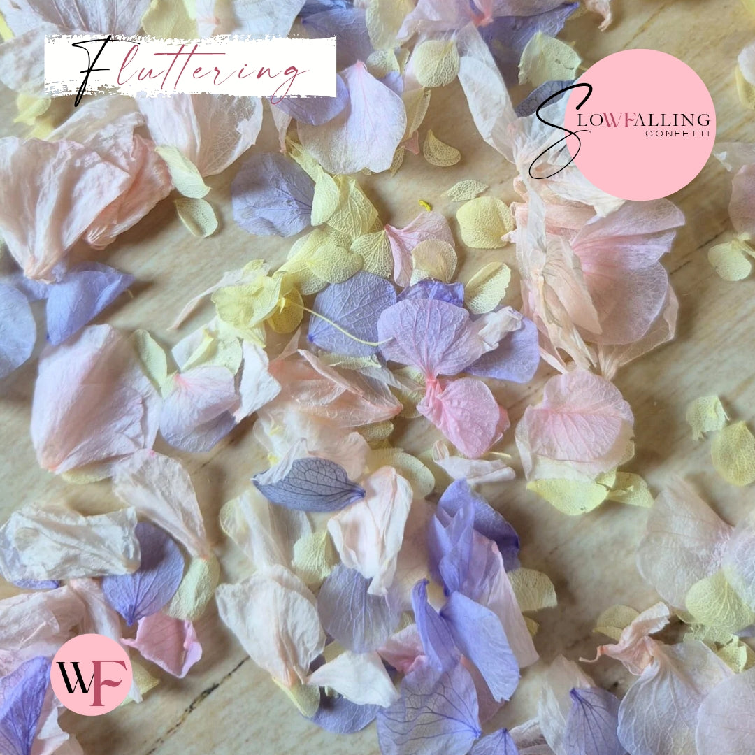 Petal Confetti hydrangea - Lemon Light pink Purple