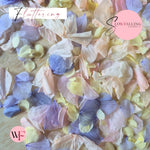 Petal Confetti hydrangea - Lemon Light pink Purple