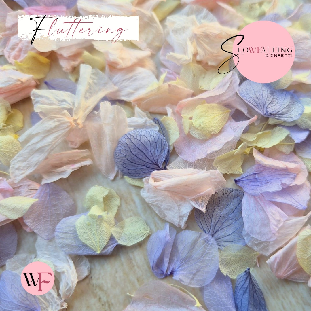 Petal Confetti hydrangea - Lemon Light pink Purple