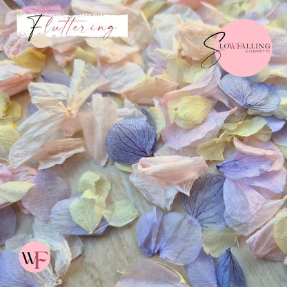 Petal Confetti hydrangea - Lemon Light pink Purple