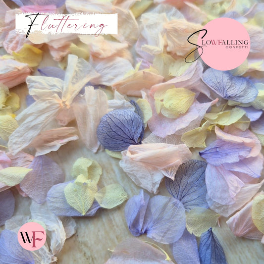 Petal Confetti hydrangea - Lemon Light pink Purple