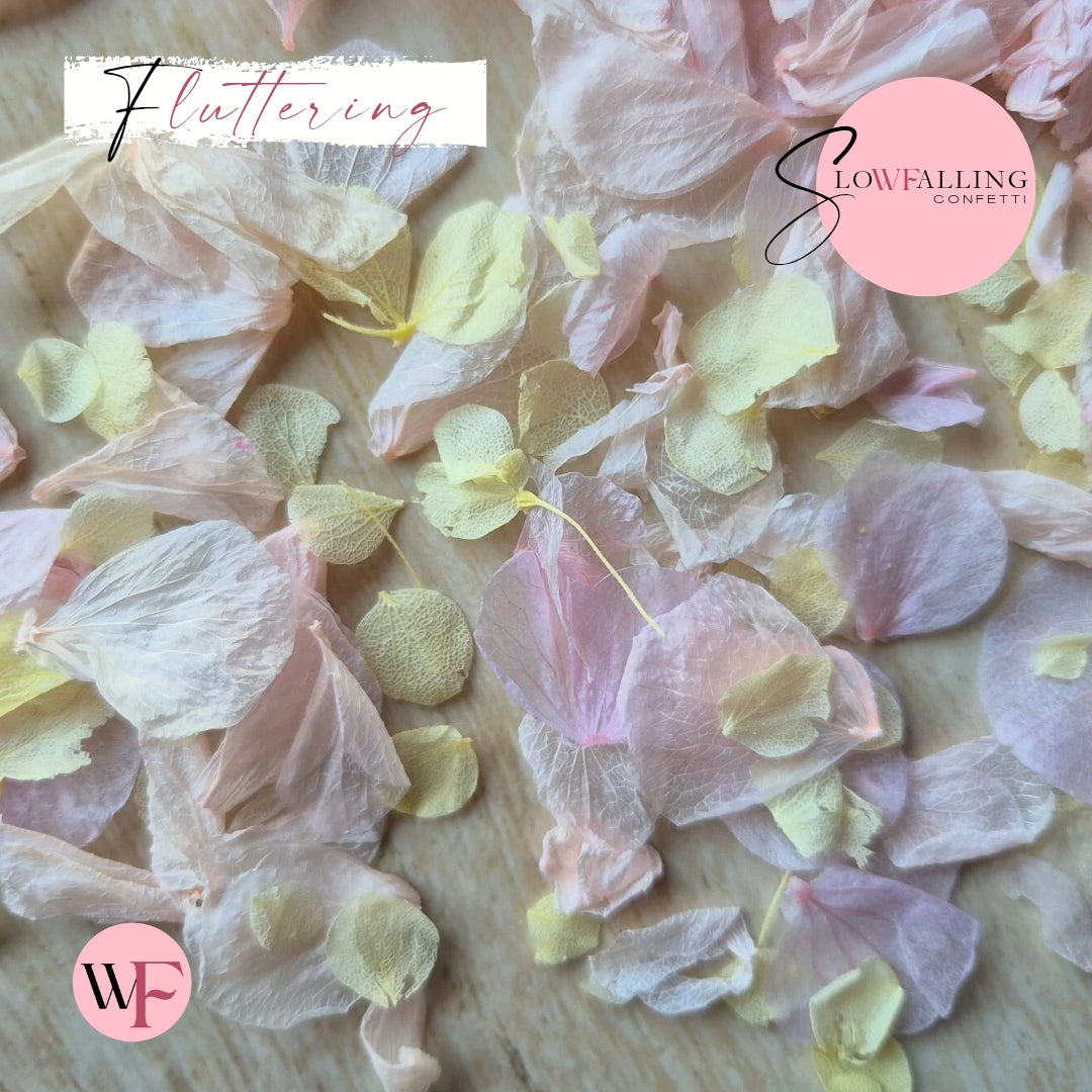 Petal Confetti hydrangea - Lemon Light pink