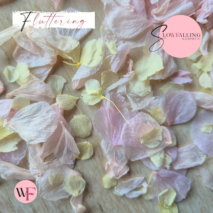 Petal Confetti hydrangea - Lemon Light pink
