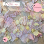 Petal Confetti hydrangea - Lemon Light pink