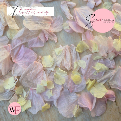 Petal Confetti hydrangea - Lemon Light pink
