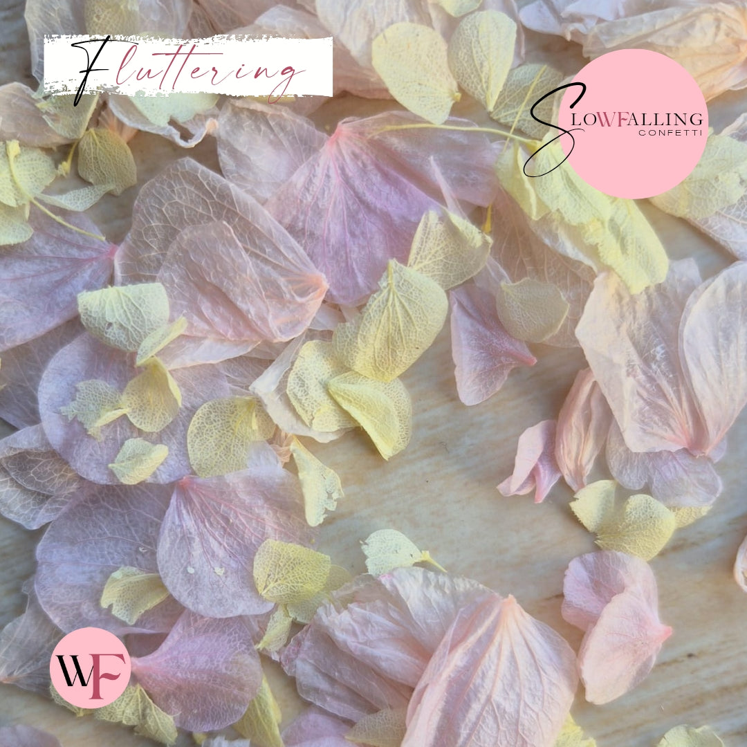 Petal Confetti hydrangea - Lemon Light pink
