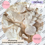 Ivory hydrangea petals with 'WEDFETTI' branding on a patterned background.