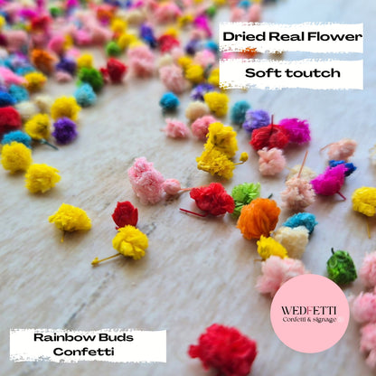 Rainbow Buds® Confetti