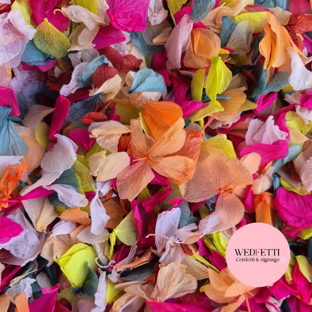 Petal Confetti hydrangea - Summer Fruit Mix
