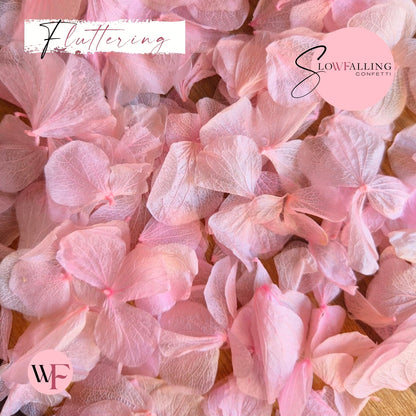 Petal Confetti hydrangea - Pink Hydrangea Petals