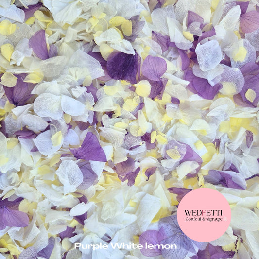 Petal Confetti hydrangea - Purple White Lemon