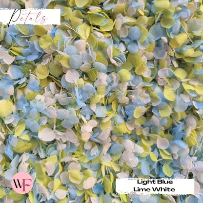 Snow Petal Confetti® - Light Blue Lime White