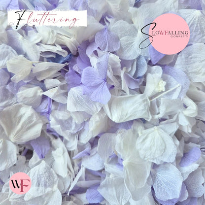Petal Confetti hydrangea - Soft Purple White