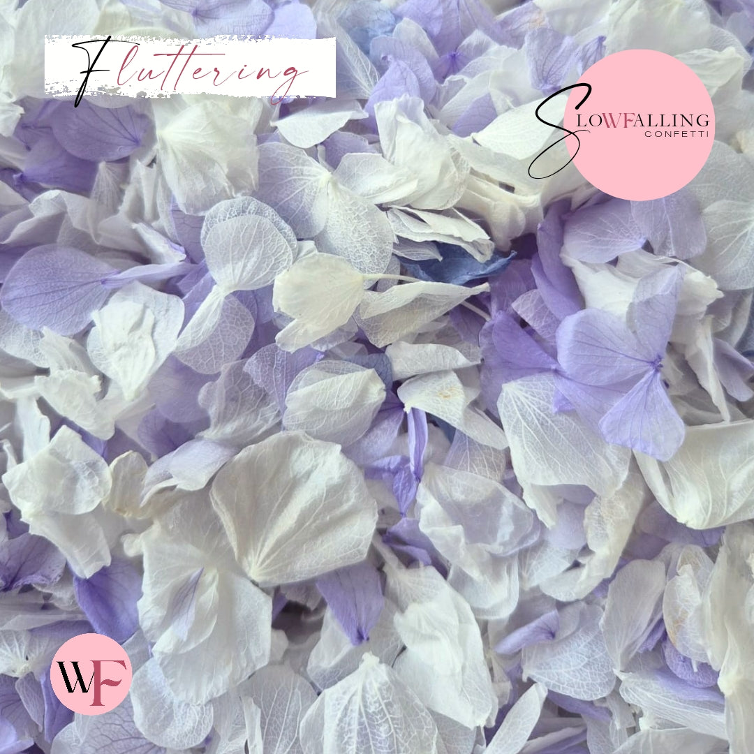 Petal Confetti hydrangea - Soft Purple White