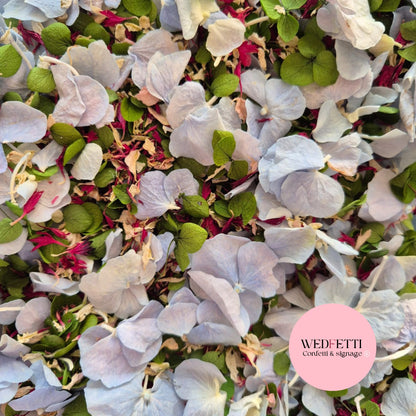 Fluttering Hydrangea + Cornflower Mix