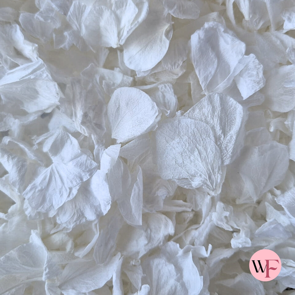 Wedding White hydrangea PETALS