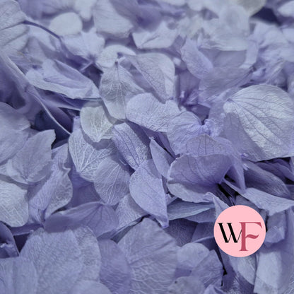 Petal Confetti hydrangea - Soft Purple
