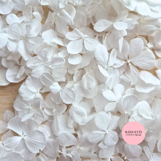 FlutterFly® Petal Confetti - Pure White