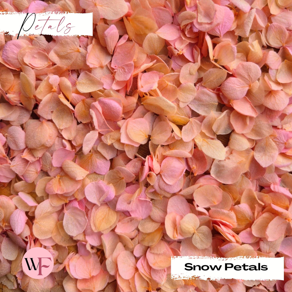 Snow Petal Confetti® - Peach Pink Gradient