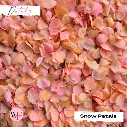 Snow Petal Confetti® - Peach Pink Gradient