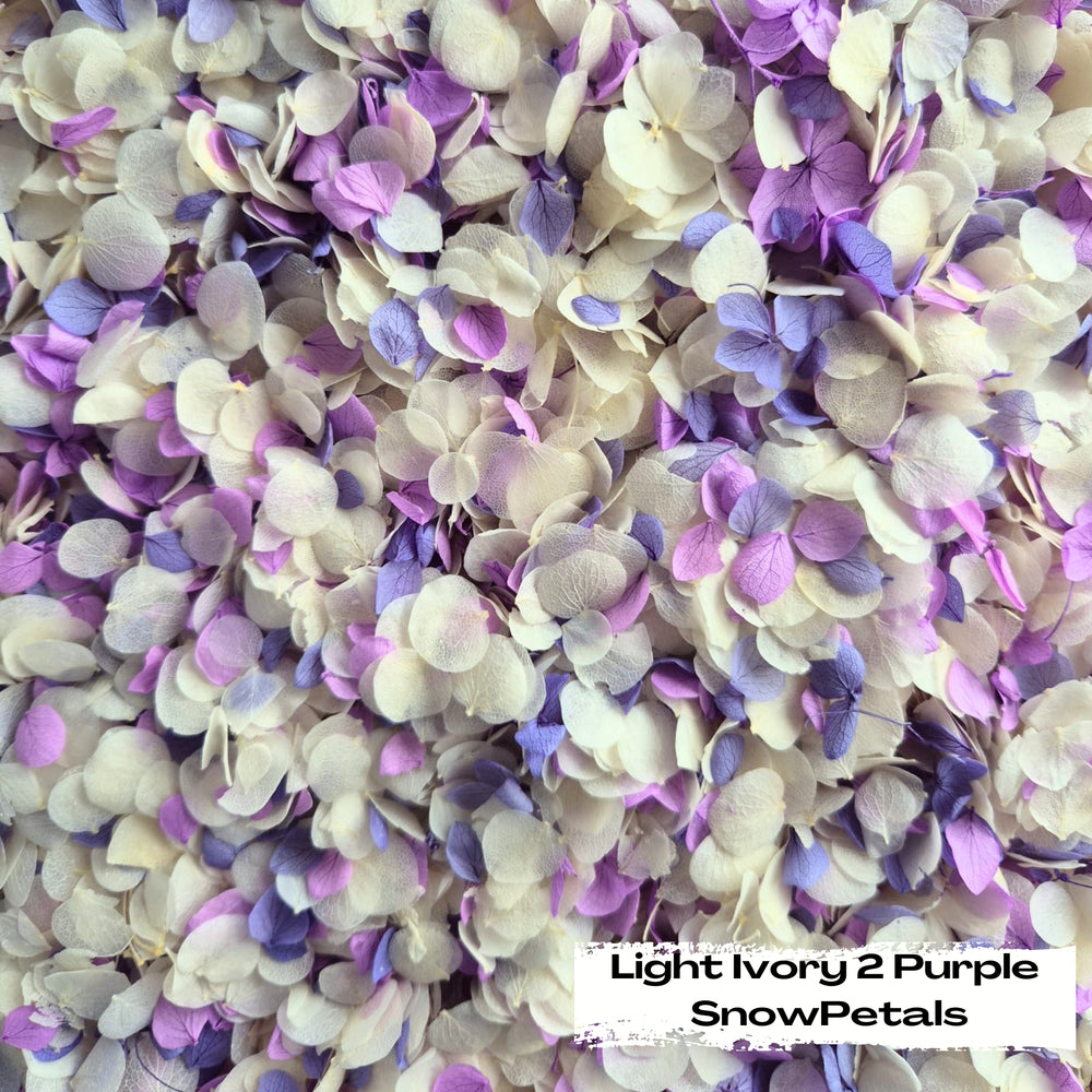 Snow Petal Confetti® - Snow Petals - Light Ivory 2 Purple