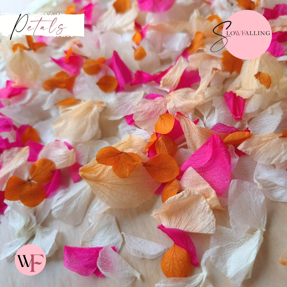 Petal Confetti hydrangea - Fruit Salad Peach