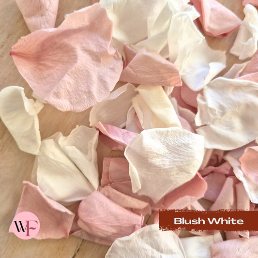 Rose Petals - Blush White