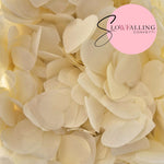 Biodegradable Confetti Slow falling paper - Ivory Hearts WedFetti